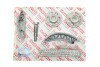Комплект ланцюга привідного грм 73518SET