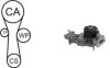AIRTEX К-кт ГРМ (помпа с прокл. + ролик + ремень) Logan,Kangoo,Clio 1.2 WPK-174101