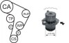 AIRTEX VW К-кт ГРМ (помпа+ремень+3 ролика+крепление) POLO IV 02-12, SKODA FABIA I 99-08, SEAT IBIZA III 02-05 WPK-177701