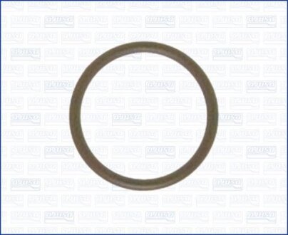 Фото прокладка впускного коллектора AJUSA 16051000 Прокладка впускного коллектора AJUSA 16051000