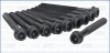 Компл. болтов ГБЦ SSANGYONG KYRON (10-14) 2.3i (10шт) AJUSA 81010500 (фото 2)