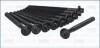 Компл. болтів ГБЦ RENAULT MEGANE I, II, III 1.4, 1.6i (10шт) (81024900) Ajusa 81024900