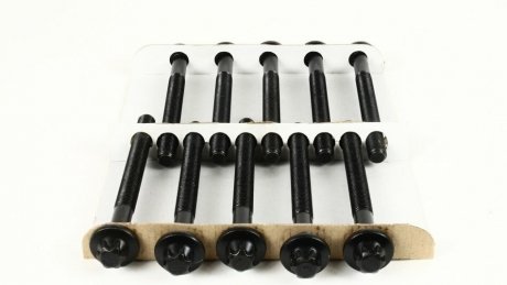 Болти головки блока Master/Trafic 2.5dCi 00- (к-кт) AJUSA 81031600