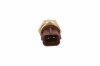 Датчик температури Boxer/Jumper 2.2 HDi 11-/Transit 2.2 TDCi 11- AUTLOG AS2155 (фото 2)
