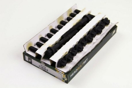 Комплект болтів двигуна з фігурною головкою BGA BK4389
