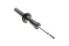 Амортизатор передній BMW X5 E70;V;B4 BILSTEIN 19-261515 (фото 6)