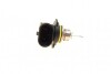 Лампа накаливания HIR2 12V 55W PX22D BOSCH 1 987 302 026 (фото 3)