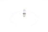 Лампа накаливания H6W 12V 6W BAX9s PURE LIGHT BOSCH 1 987 302 232 (фото 2)