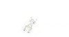 Лампа галогеновая Trucklight, W5W, 24V/5W, W2,1x9,5d BOSCH 1987302518 (фото 2)