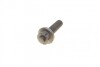 РМК ГРМ Z=135 + ролики AUDI/SEAT/VW 80/Cordoba/Imiza/Toledo/Golf/Jetta/Multivan/Passat \&#039;\&#039;1.9 \&#039;\&#039;89-03 BOSCH 1987946325 (фото 9)
