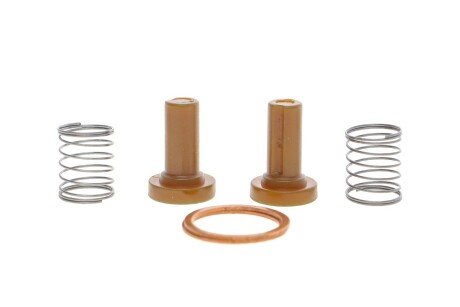 КОМПЛЕКТ ДЕТАЛЕЙ BOSCH 2447010011