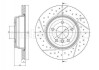 CIFAM BMW Гальмівний диск задн. 1 (E81), 1 (E87), 3 (E90), 3 Touring (E91), 3 (E92) 800-1693C