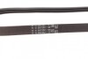 Поликлиновой ремінь (Вр-во) Contitech 4PK850ELAST (фото 3)