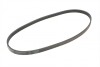 Ремень поликлиновой DAEWOO Espero (KLEJ) 1.5 16V Contitech 5PK1010 (фото 5)