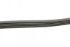 Поликлиновой ремень MERCEDES-BENZ VANEO (414) 1.6 02/02-07/05 Contitech 5PK1290 (фото 2)