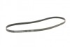 Поликлиновой ремень MERCEDES-BENZ VANEO (414) 1.6 02/02-07/05 Contitech 5PK1290 (фото 5)