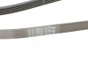 Пас поліклиновий Hyundai Accent/Getz/i30/Kia Rio/C Contitech 5PK1800 (фото 3)