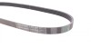 Пас поліклиновий BMW 3 (E36)/5 (E34/E39) 2.0/2.5i Contitech 5PK890 (фото 2)