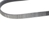 Ремінь Contitech 5PK926ELAST (фото 3)