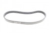 Пас поліклиновий Ford Fiesta/Focus 1.4/1.6i 16V 01 Contitech 6PK1019 ELAST T1 (фото 12)