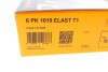 Пас поліклиновий Ford Fiesta/Focus 1.4/1.6i 16V 01 Contitech 6PK1019 ELAST T1 (фото 13)