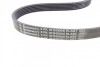 Пас поліклиновий Ford Fiesta/Focus 1.4/1.6i 16V 01 Contitech 6PK1019 ELAST T1 (фото 5)