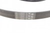 Пас поліклиновий Ford Fiesta/Focus 1.4/1.6i 16V 01 Contitech 6PK1019 ELAST T1 (фото 6)
