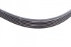 Пас поліклиновий Ford Fiesta/Focus 1.4/1.6i 16V 01 Contitech 6PK1019 ELAST T1 (фото 7)
