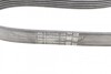Пас поліклиновий Ford Fiesta/Focus 1.4/1.6i 16V 01 Contitech 6PK1019 ELAST T1 (фото 10)