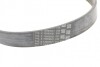 Ремінь поликлиновый (Ви-во) Contitech 6PK1249ELAST (фото 3)