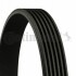 Ремінь поліклінової Conti 6PK1441EXTRA