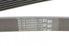 Ремінь поліклиновий (Ви-во) Contitech 6PK1530 (фото 3)