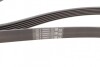 Пас поліклиновий VW Golf IV/Passat 1.4/1.6FSI 03-1 Contitech 6PK1733 (фото 2)
