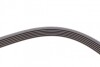 Пас поліклиновий VW Golf IV/Passat 1.4/1.6FSI 03-1 Contitech 6PK1733 (фото 4)