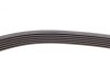 Комплект пасу поліклинового Citroen Berlingo/Peug Contitech 6PK1750K1 (фото 8)