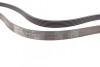 Пас поліклиновий Toyota Corolla 1.4/1.6 99-02/Ford Contitech 6PK1820 (фото 2)
