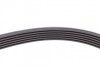 Пас поліклиновий Toyota Corolla 1.4/1.6 99-02/Ford Contitech 6PK1820 (фото 3)