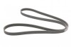 Поликлиновий ремінь FORD MONDEO IV 2.0 TDCi 03/10-01/15 (Ви-во) Contitech 6PK1845 (фото 5)