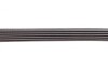 Пас поліклиновий Mitsubishi Lancer 08-/Outlander 1 Contitech 6PK2625 (фото 4)