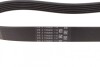 Ремінь поликлиновый (Ви-во) Contitech 6PK831ELAST (фото 2)