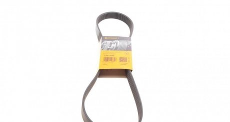 Ремень поликлиновой Conti Contitech 7PK1040