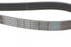 Пас поліклиновий BMW 5 (E39/G30/F90)/7 (E38/F01/F0 Contitech 7PK1629 (фото 3)