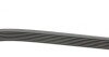 Пас поліклиновий Honda CR-V 2.0 01-06 Contitech 7PK1730 (фото 2)