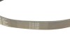Ремінь поліклиновий Contitech 8PK1310EXTRA (фото 3)