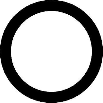 Прокладка колектора впускного CORTECO 026453H (фото 1)