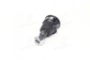 Опора кульова нижня Honda CR-V 02-06 CTR CBHO-32 (фото 2)
