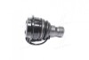 Опора кульова нижня Hyundai Santa FE 99- (вир-во CTR) CBKH-22