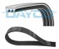 Ремінь П-клиновий 3PK590 Dayco