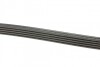 Пас поліклиновий Renault Kangoo 1.5 dCi 01-09 DAYCO 5PK1137 (фото 2)