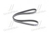 Ремінь генератора Toyota Camry/Carina/Rav 4 2.0/2.2 91-00 DAYCO 5PK995 (фото 3)